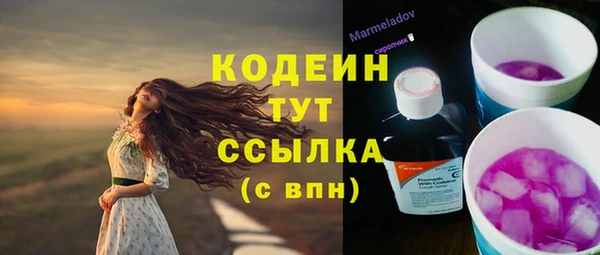 молекула духа Липки
