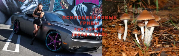 молекула духа Липки