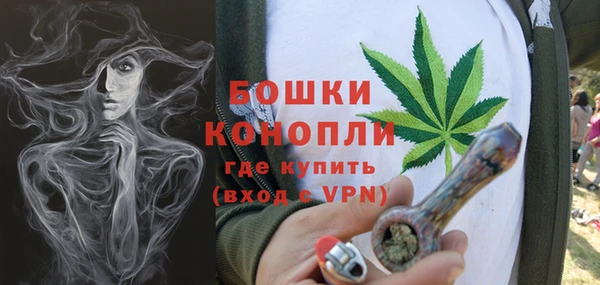 молекула духа Липки