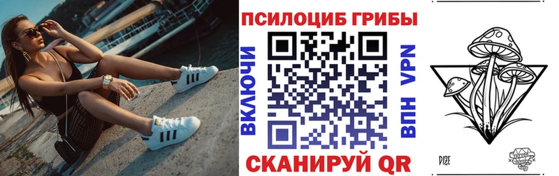 Псилоцибиновые грибы прущие грибы  Купить где  Зверево 