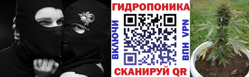 Купить где  Зверево  Бошки марихуана сатива 